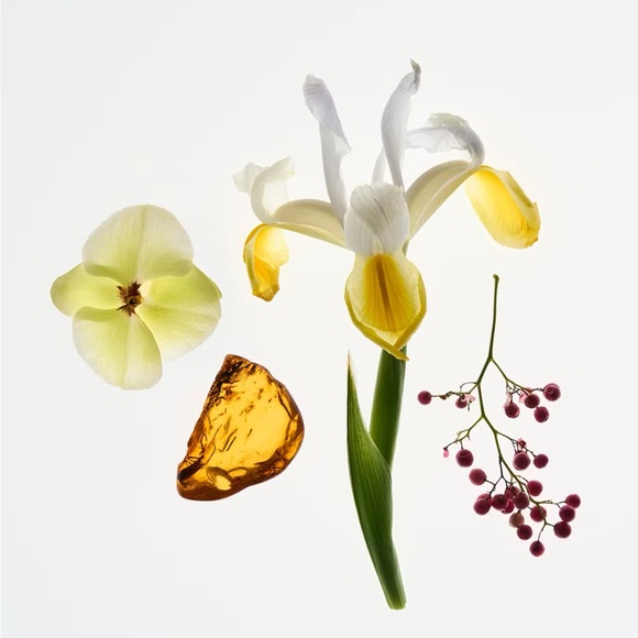 Glossier you perfume - Picture 4 of 7